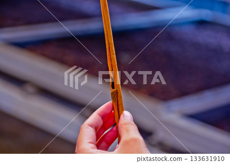Close-up photo of high-quality cinnamon, Kerinci, Jambi, Indonesia Kerinci is the world's largest producer of cinnamon (Cassiavera). Kerinci cinnamon is processed into spices, cakes, beverages, and m Close-up photo of high-quality cinnamon, Kerinci, Jambi, Indonesia Kerinci is the world's largest producer of cinnamon (Cassiavera). Kerinci cinnamon is processed into spices, cakes, beverages, and m 133631910