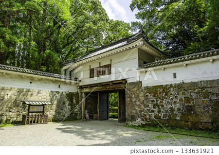 Obi Castle Otemon Gate, Nichinan City, Miyazaki Prefecture 133631921