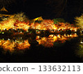 Autumn leaves reflected in a pond 133632113
