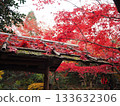 Autumn leaves and red roofs 133632306