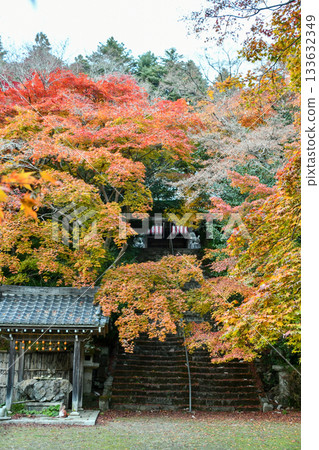 Konzoji Temple in Autumn (Kyoto, Japan) Konzoji Temple in Autumn (Kyoto, Japan) 133632349