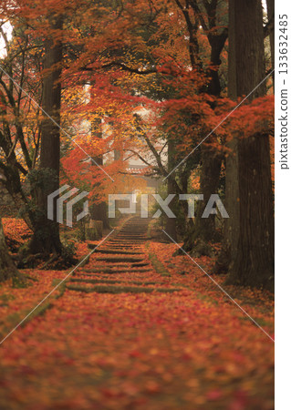 龍眼寺秋葉之靜美 133632485