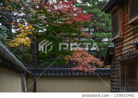 深秋的金澤長町武士住宅遺址 133632492