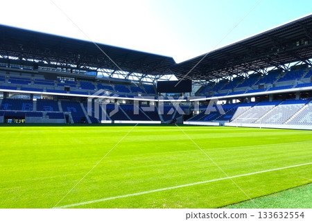 擁有美麗草坪的足球場 133632554