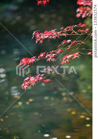Late Autumn at Oyama Shrine Late Autumn at Oyama Shrine 133632574