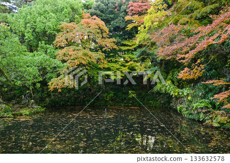 Late Autumn at Oyama Shrine 133632578