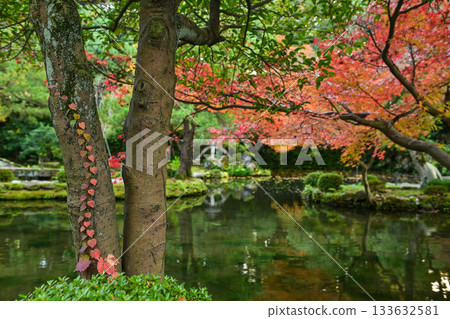 Late Autumn at Oyama Shrine 133632581