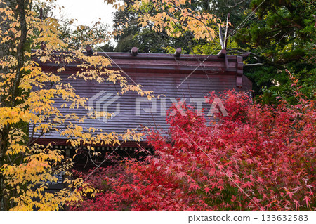 大山神社的深秋 133632583