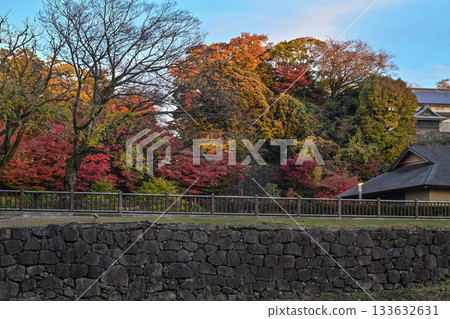 金澤城 Gyokuseninmaru 花園的深秋 133632631