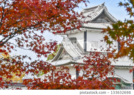 Kanazawa Castle Park with beautiful autumn leaves 133632698