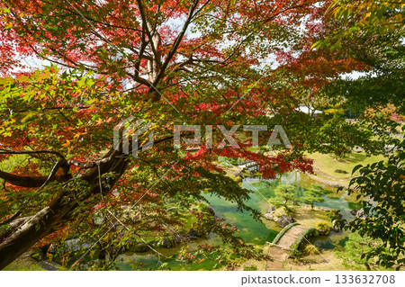 金澤城公園，秋葉美麗 133632708