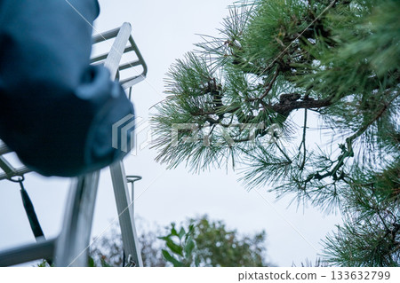 pruning, gardener, landscaper 133632799