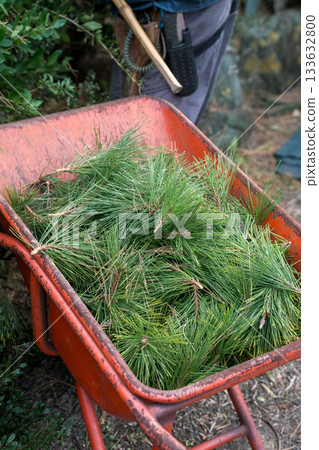 修剪 園丁 花園 133632800