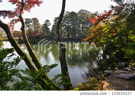 深秋的兼六園，紅葉美麗 133633227