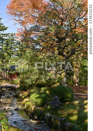 深秋的兼六園,紅葉美麗 深秋的兼六園,紅葉美麗 133633232