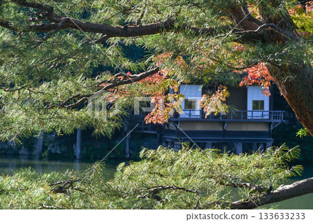 深秋的兼六園，紅葉美麗 133633233