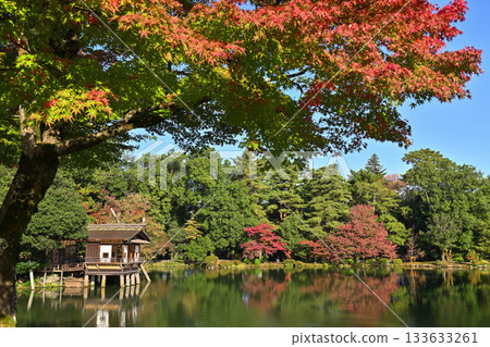 Kenrokuen in late autumn with beautiful autumn leaves 133633261