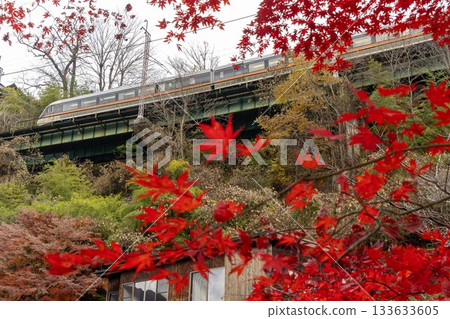 信濃賽車穿越木曾谷 133633605