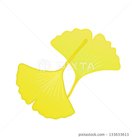 Yellow ginkgo leaf illustration 133633613