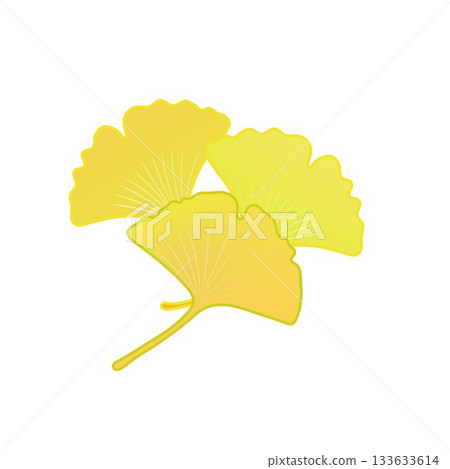 Yellow ginkgo leaf illustration 133633614