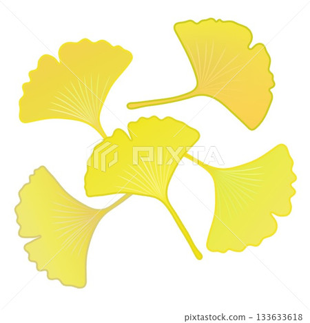 Yellow ginkgo leaf illustration 133633618