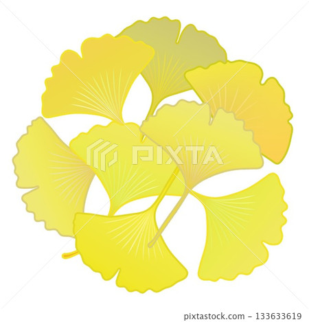 Yellow ginkgo leaf illustration 133633619
