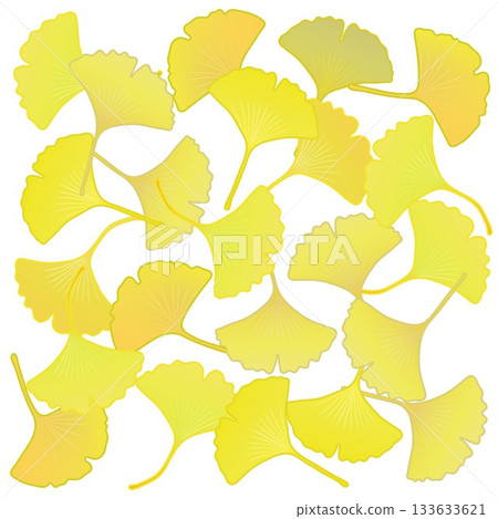 Yellow ginkgo leaf illustration 133633621