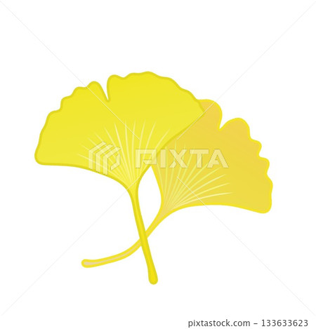 Yellow ginkgo leaf illustration 133633623