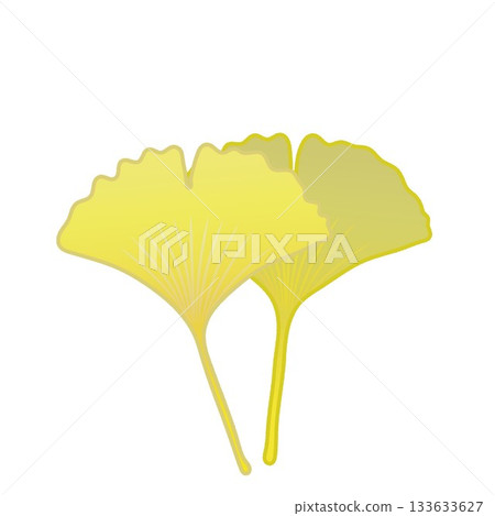 Yellow ginkgo leaf illustration 133633627
