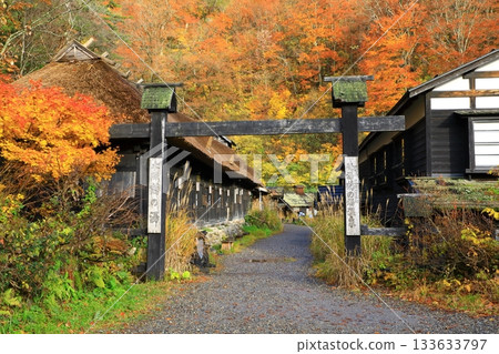Akita Prefecture: Autumn leaves at Nyuto Onsen 133633797