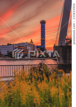 麥樹污泥中心黃昏 133633950