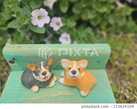 Friendly Corgi and Petunia Friendly Corgi and Petunia 133634109