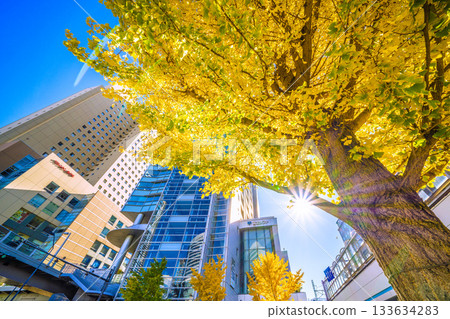 Yokohama cityscape in Japan. Autumn colors...rays of light...view of Sakuragicho Station, Fuji Soft, Washington Hall, etc. Landmarks are reflected. 133634283