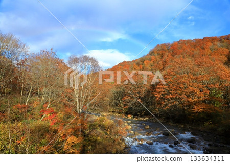 Nyuto Onsen Village: Autumn leaves and rainbows 133634311
