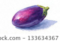 Fresh watercolor eggplant illustration natural food design 133634367