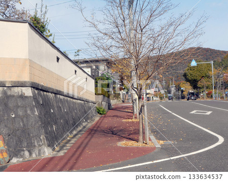 A Japanese residential area with a quiet suburban feel and a sidewalk lined with fallen leaves A Japanese residential area with a quiet suburban feel and a sidewalk lined with fallen leaves 133634537