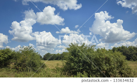 scenic beautiful rural America landscape features a vibrant green field beneath a blue sky dotted with fluffy clouds, bordered by green fast land and distant trees 133634632