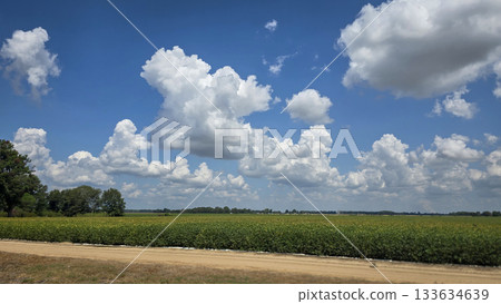 scenic beautiful rural America landscape features a vibrant green field beneath a blue sky dotted with fluffy clouds, bordered by green fast land and distant trees scenic beautiful rural America landscape features a vibrant green field beneath a blue sky dotted with fluffy clouds, bordered by green fast land and distant trees 133634639