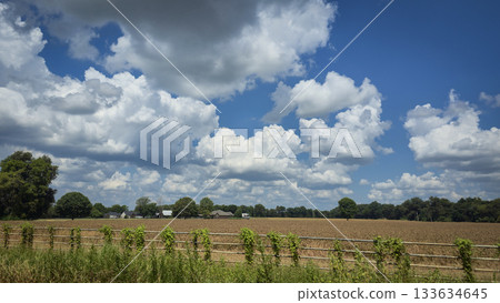 scenic beautiful rural America landscape features a vibrant green field beneath a blue sky dotted with fluffy clouds, bordered by green fast land and distant trees 133634645