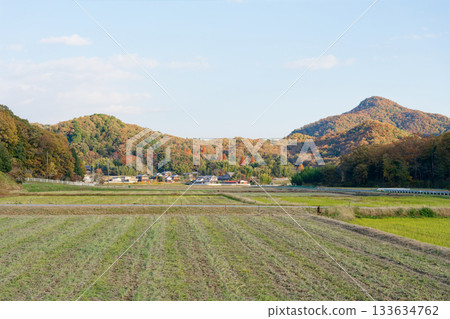 Rural landscape 133634762