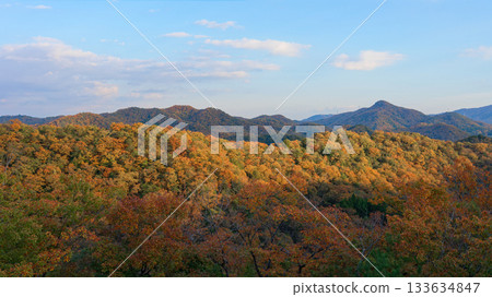 Autumn leaves in the Satoyama area of Hokusetsu 133634847