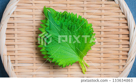 Macrophyll Macrophyll 133634863