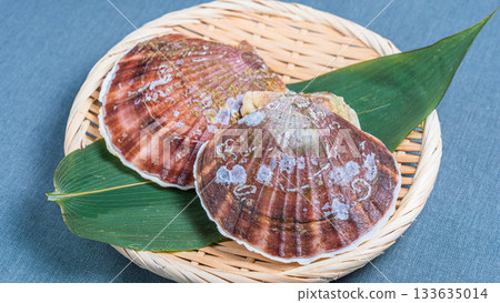  扇貝 133635014