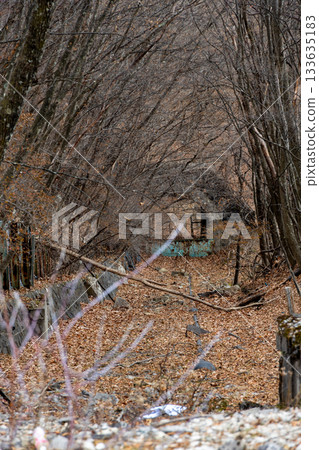 Nikko, Tochigi Prefecture: Former cable car tracks at Akechidaira Nikko, Tochigi Prefecture: Former cable car tracks at Akechidaira 133635183