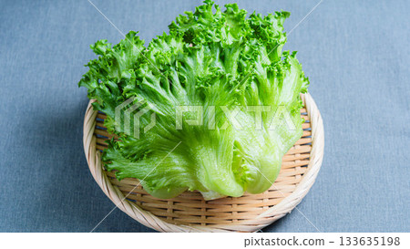 褶邊生菜 褶邊生菜 133635198