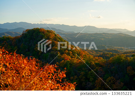 Autumn scenery of Satoyama 133635221