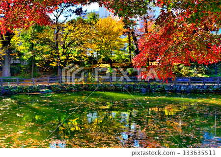 A comfortable space in the city center: Autumn leaves at Nabeshima Shoto Park with a waterwheel 133635511