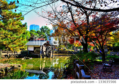 A comfortable space in the city center: Autumn leaves at Nabeshima Shoto Park with a waterwheel 133635566