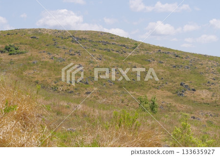 Akiyoshidai with dead grass in the spring of 2025 Akiyoshidai with dead grass in the spring of 2025 133635927