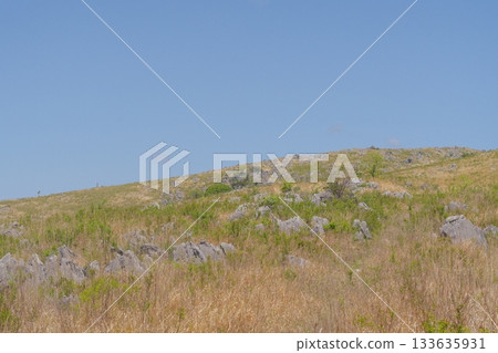 Akiyoshidai with dead grass in the spring of 2025 Akiyoshidai with dead grass in the spring of 2025 133635931